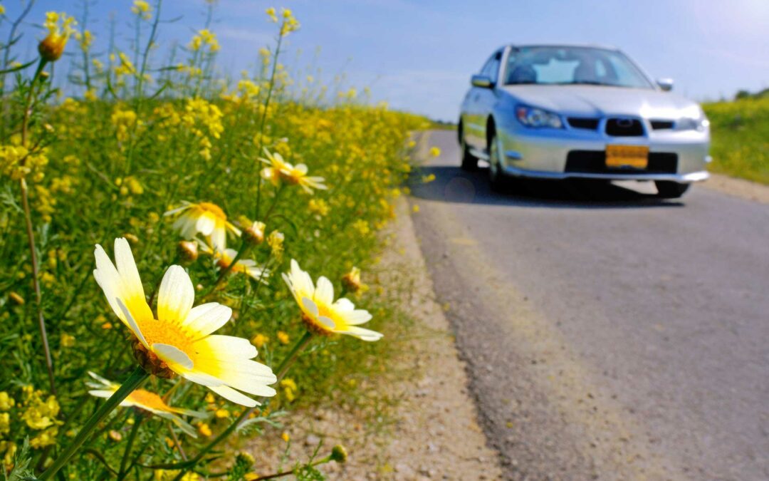Spring Maintenance for Your Vehicle