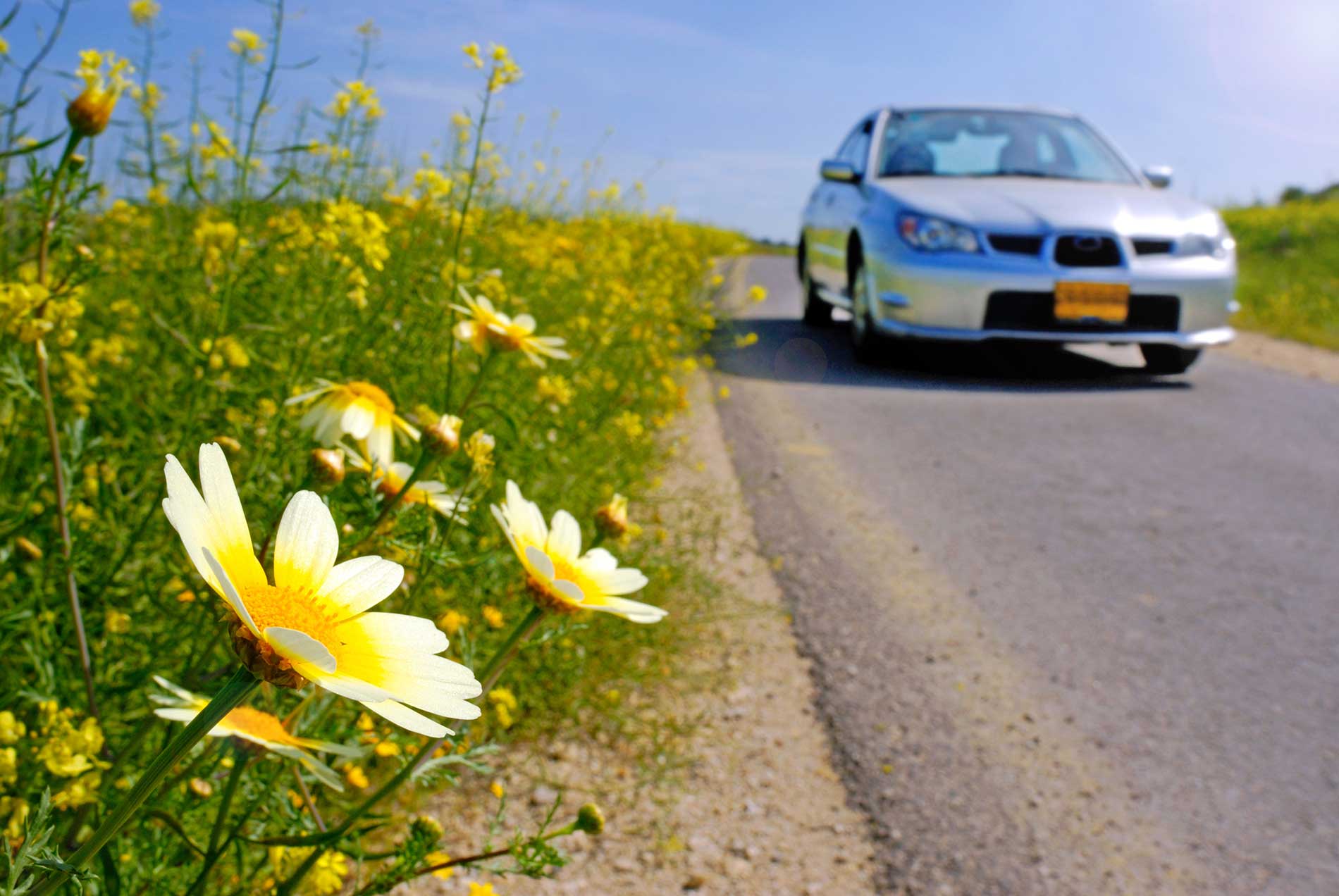 featuredimage-Spring-Maintenance-for-Your-Vehicle